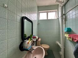 Fengli Gardens (D19), Semi-Detached #473627151
